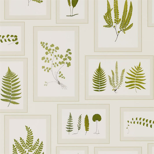Fern Gallery Wallpaper - Ivory/Green - Sanderson - DWOW215712 - Premier Wallcovering