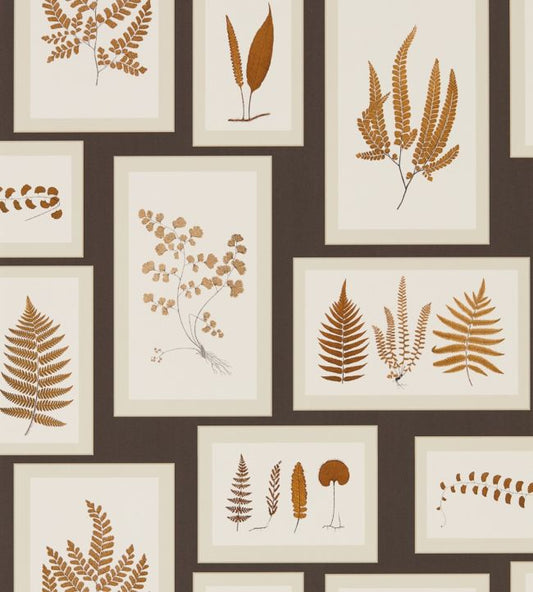 Fern Gallery Wallpaper - Charcoal/Spice - DWOW215713 - Sanderson - Premier Wallcovering