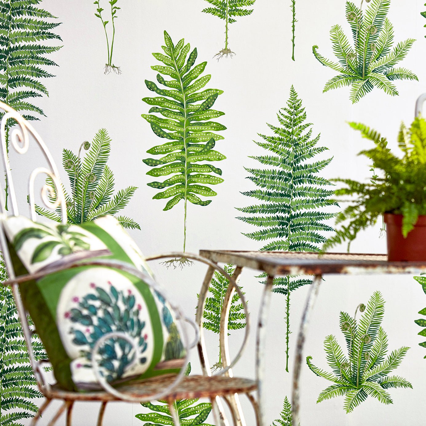 Fernery Wallpaper - Botanical Green - Sanderson - DGLW216633 - Premier Wallcovering
