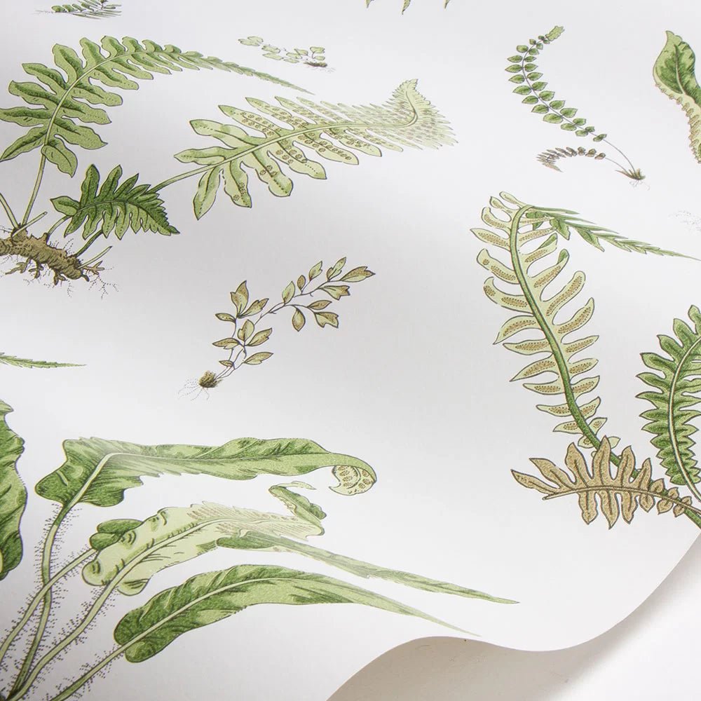 Ferns Wallpaper - Leaf - GP & J Baker - BW45044/10 - Premier Wallcovering