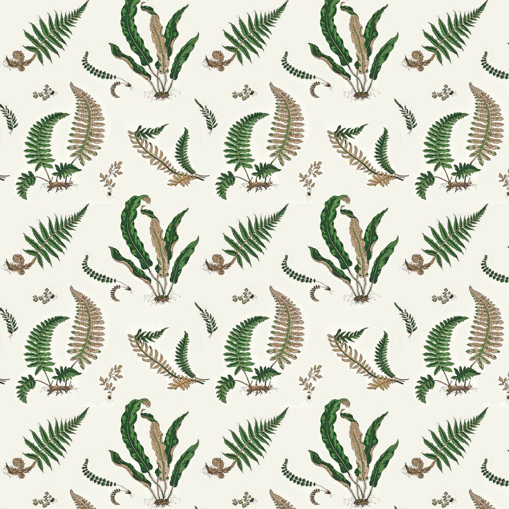 Ferns Wallpaper - Green / Cream - GP & J Baker - BW45044/1 - Premier Wallcovering