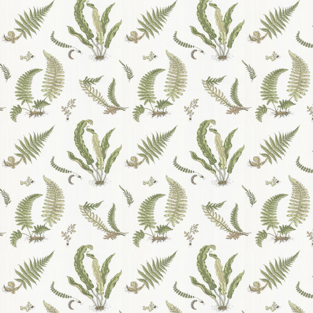 Ferns Wallpaper - Leaf - GP & J Baker - BW45044/10 - Premier Wallcovering