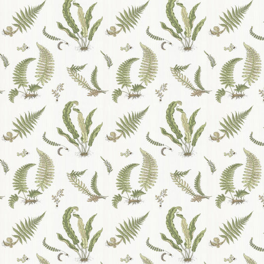 Ferns Wallpaper - Leaf - GP & J Baker - BW45044/10 - Premier Wallcovering