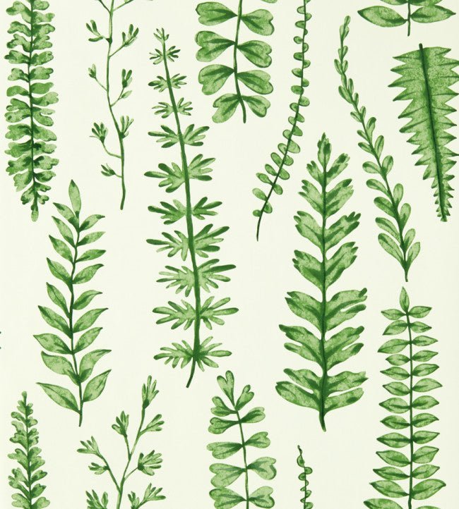 Ferns Wallpaper - Juniper - NART112798 - Scion - Premier Wallcovering