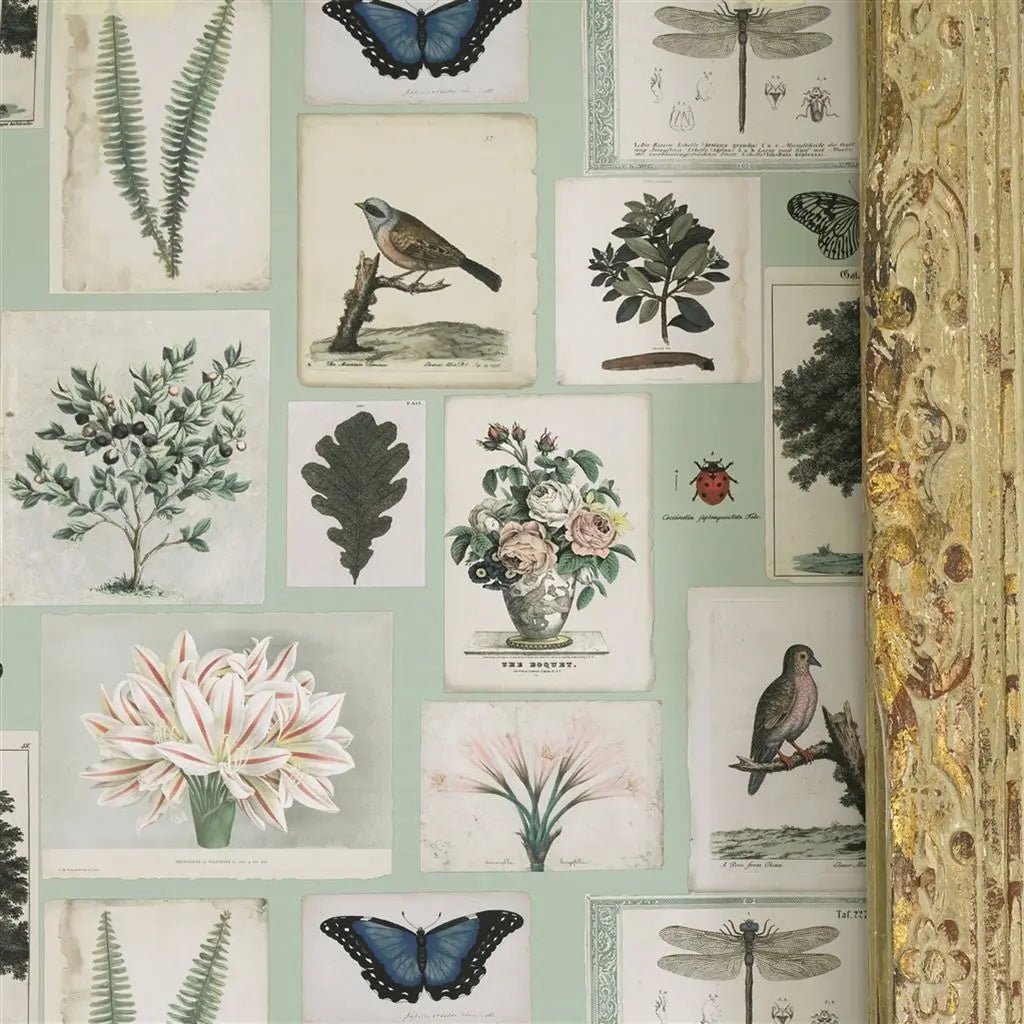 Flora And Fauna Wallpaper - Cloud Blue - John Derian - PJD6001/02 - Premier Wallcovering