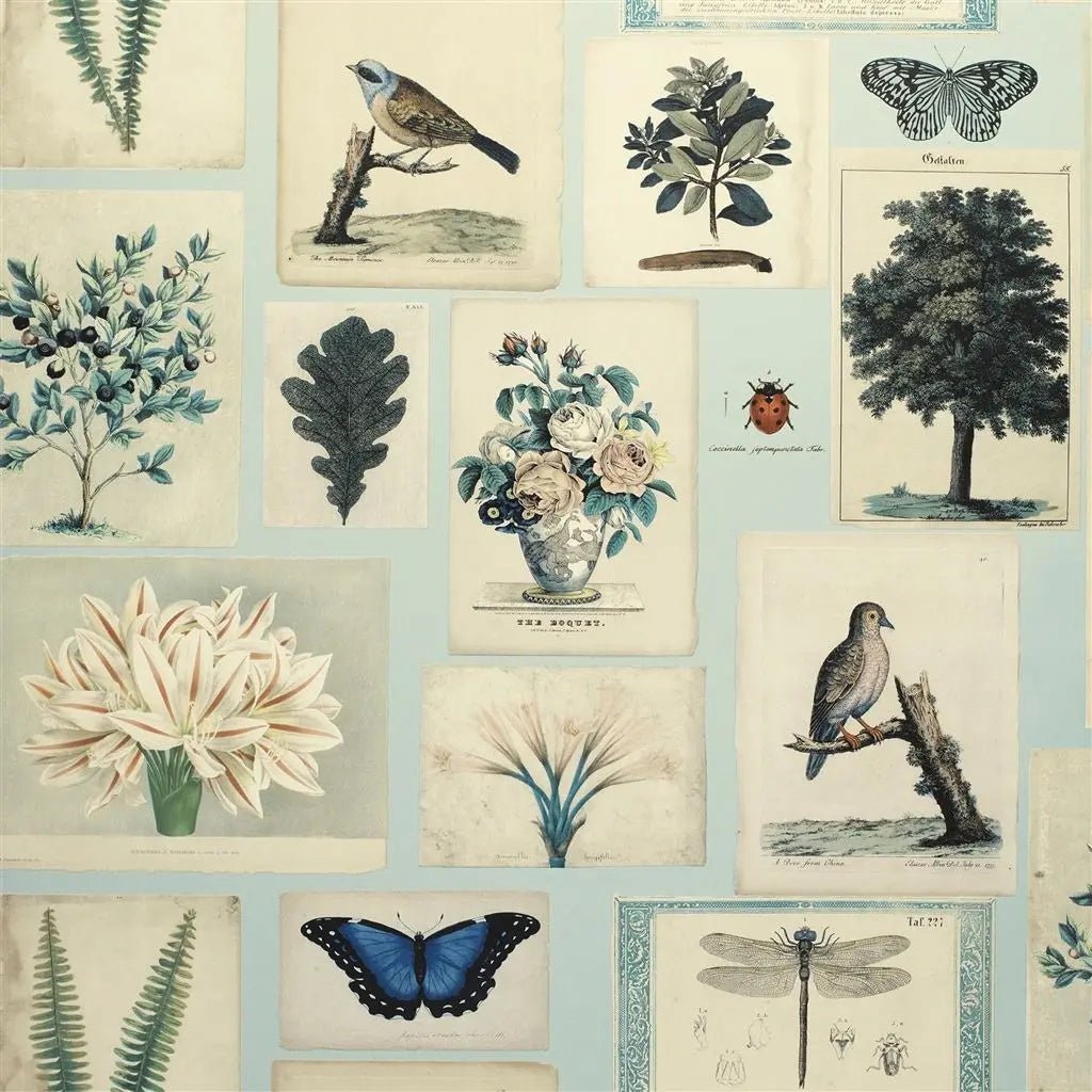 Flora And Fauna Wallpaper - Cloud Blue - John Derian - PJD6001/02 - Premier Wallcovering