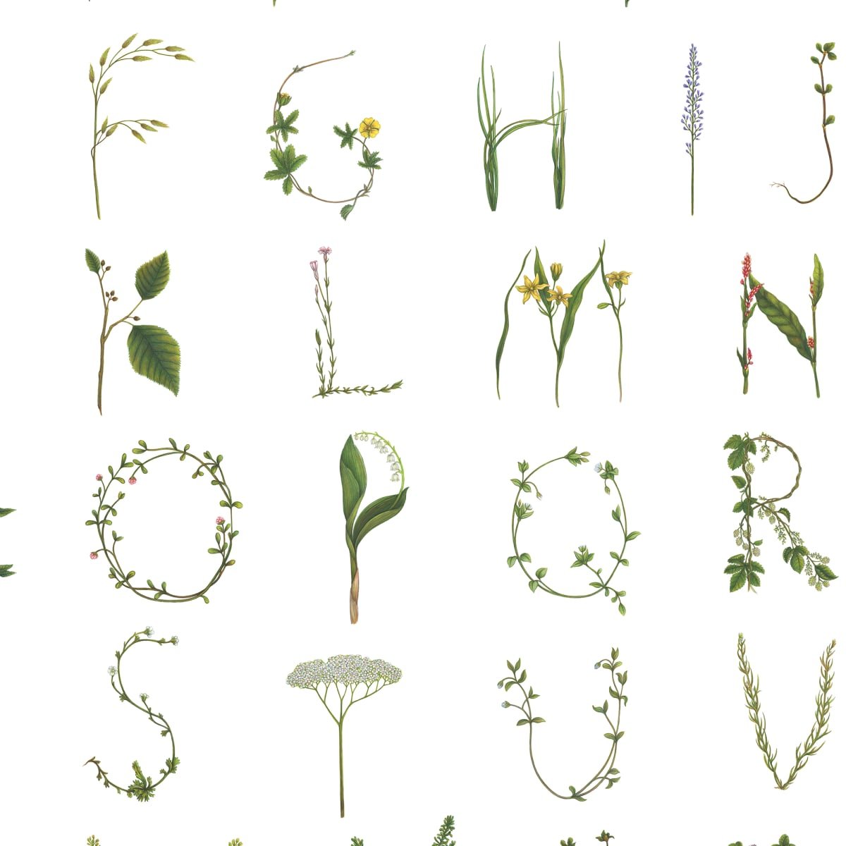 Floral Alphabet Mini Wallpaper - English - Rebel Walls - R18532 - Premier Wallcovering