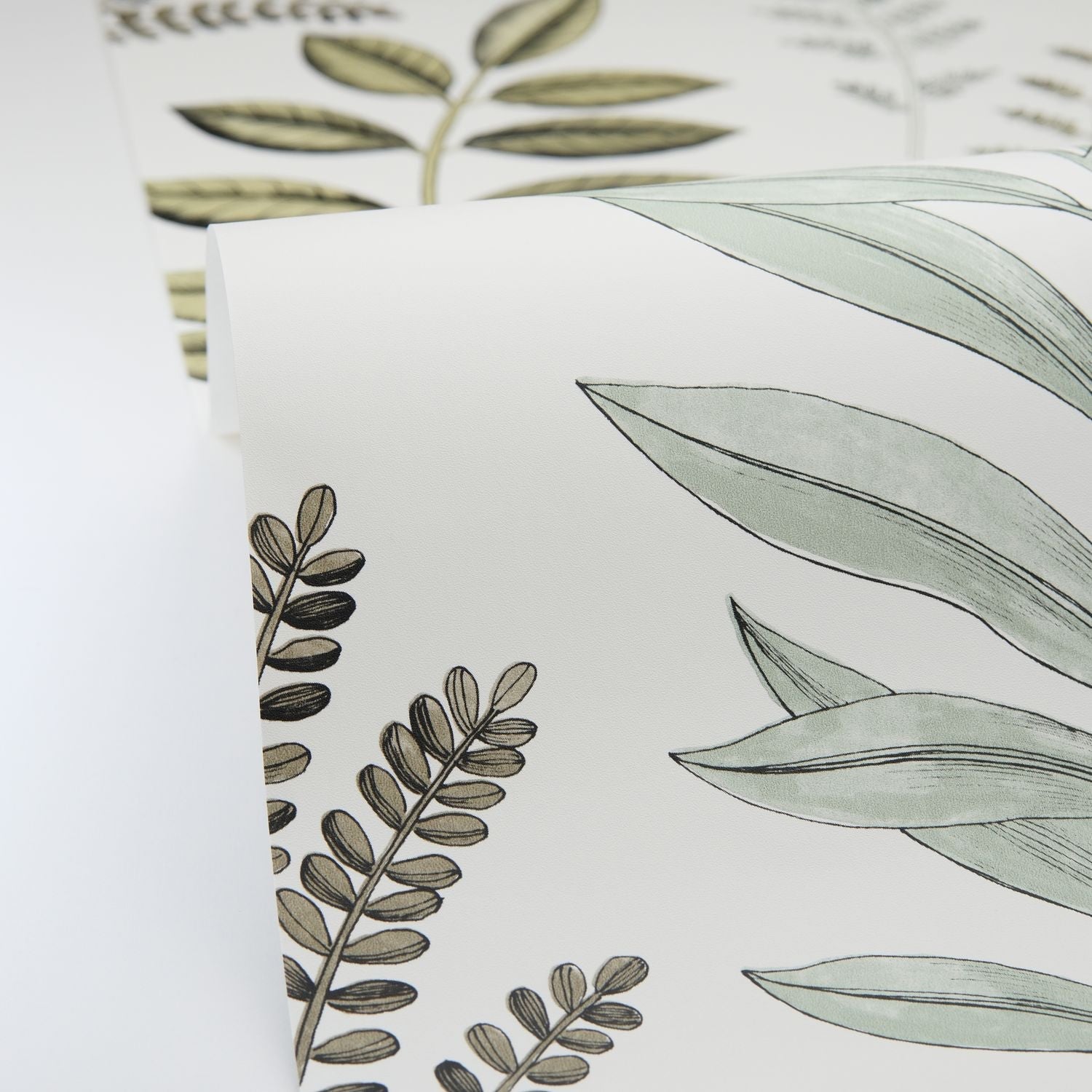 Florium Wallpaper - Vert d'eau - Caselio - 106660782 - Premier Wallcovering