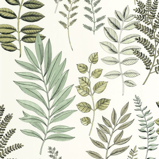 Florium Wallpaper - Vert d'eau - Caselio - 106660782 - Premier Wallcovering