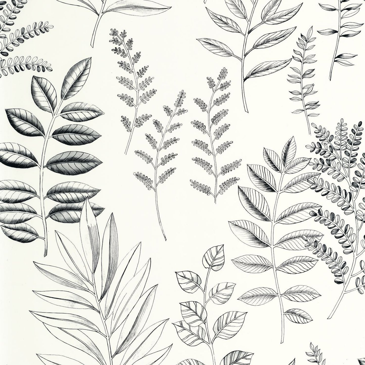 Florium Wallpaper - Noir blanc - Caselio - 106660990 - Premier Wallcovering