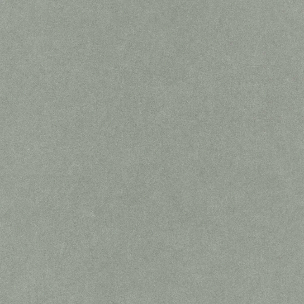 Flower Market Cotton Touch Wallpaper - Amande - Casadeco - 82387117 - Premier Wallcovering