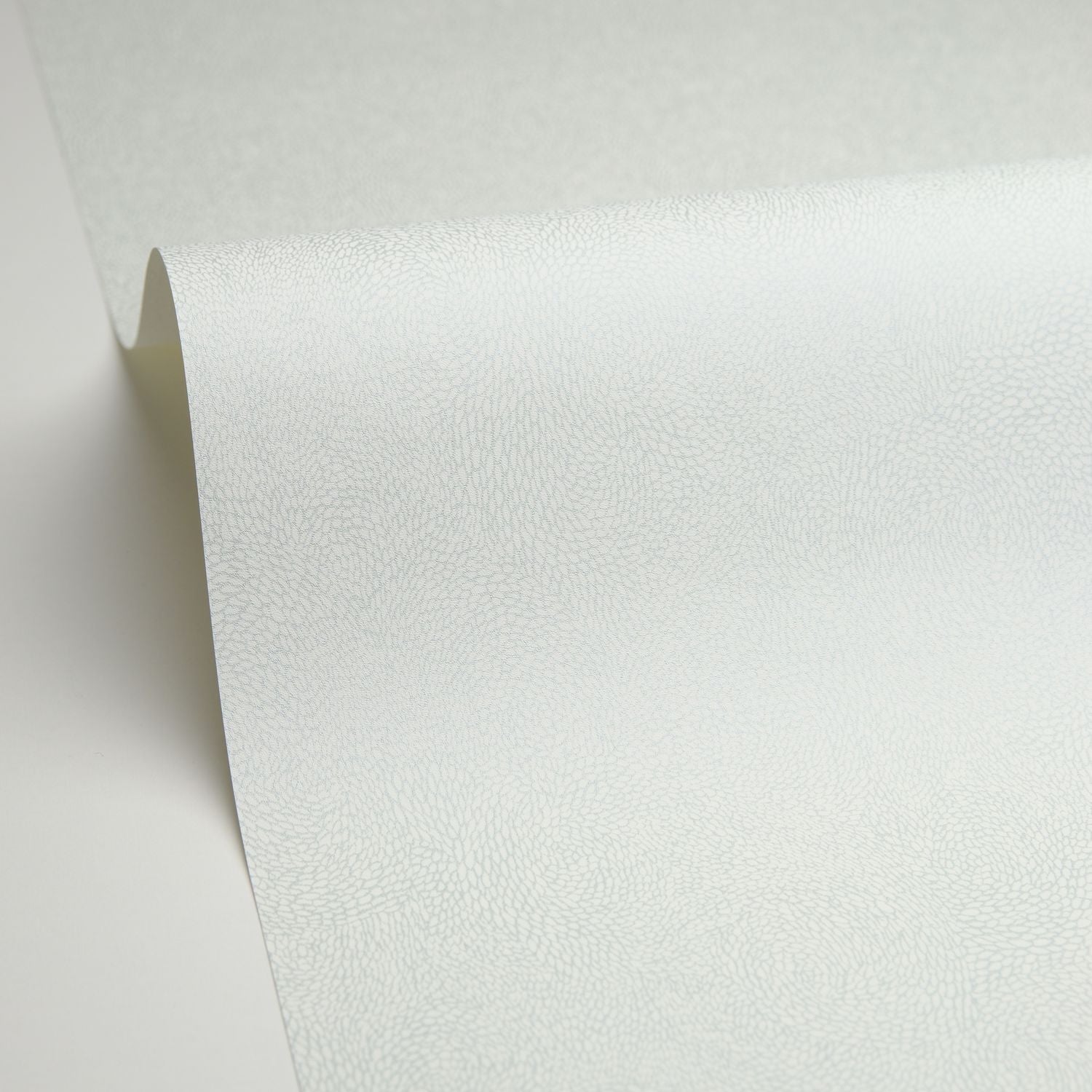 Flower Power April Wallpaper - Vert D'eau Irise - Caselio - 101847028 - Premier Wallcovering