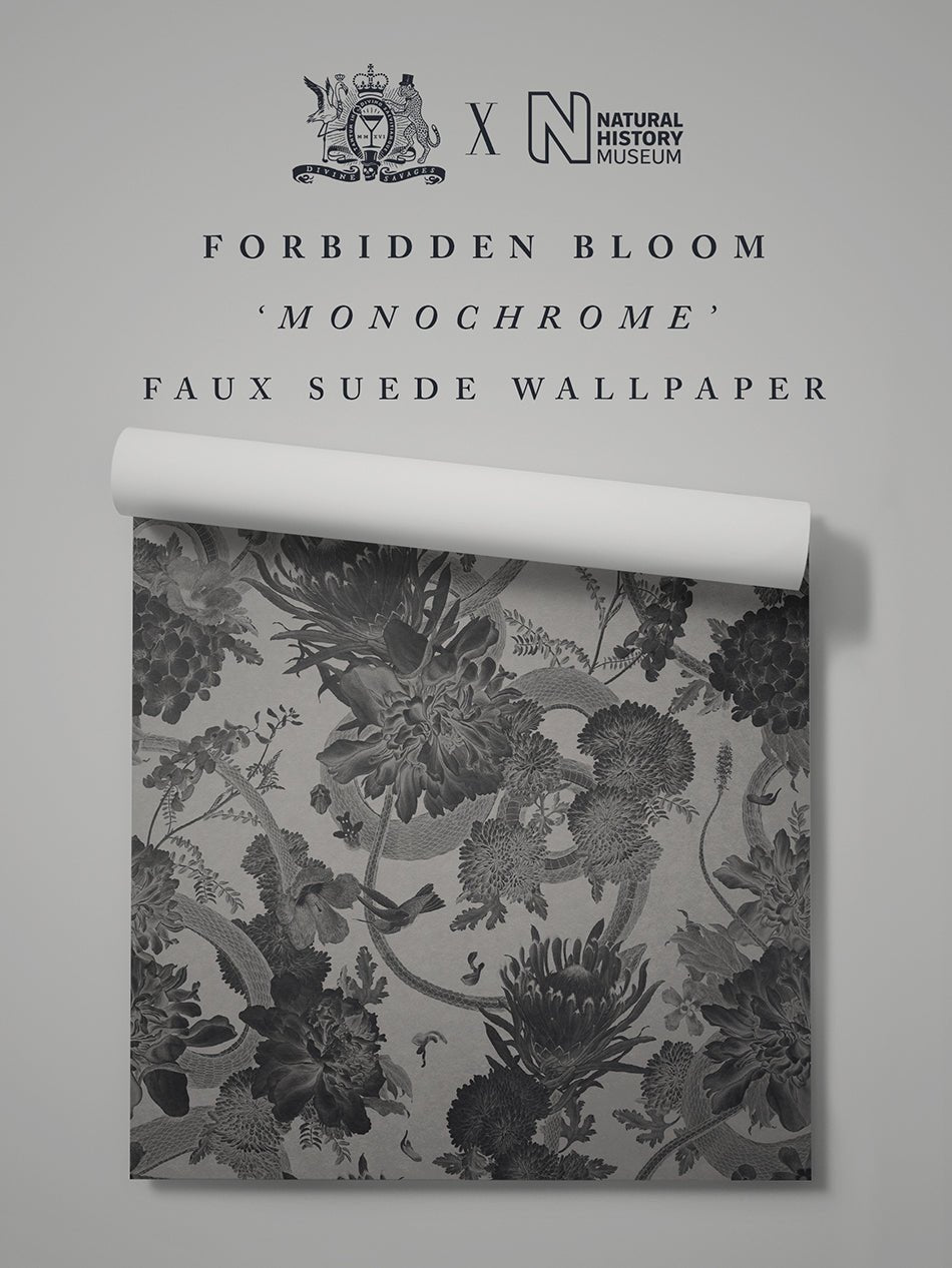 Forbidden Bloom Faux Suede Wallpaper - Monochrome - Divine Savages - DVS126-FBL-MONO-SUEDE-WR - Premier Wallcovering