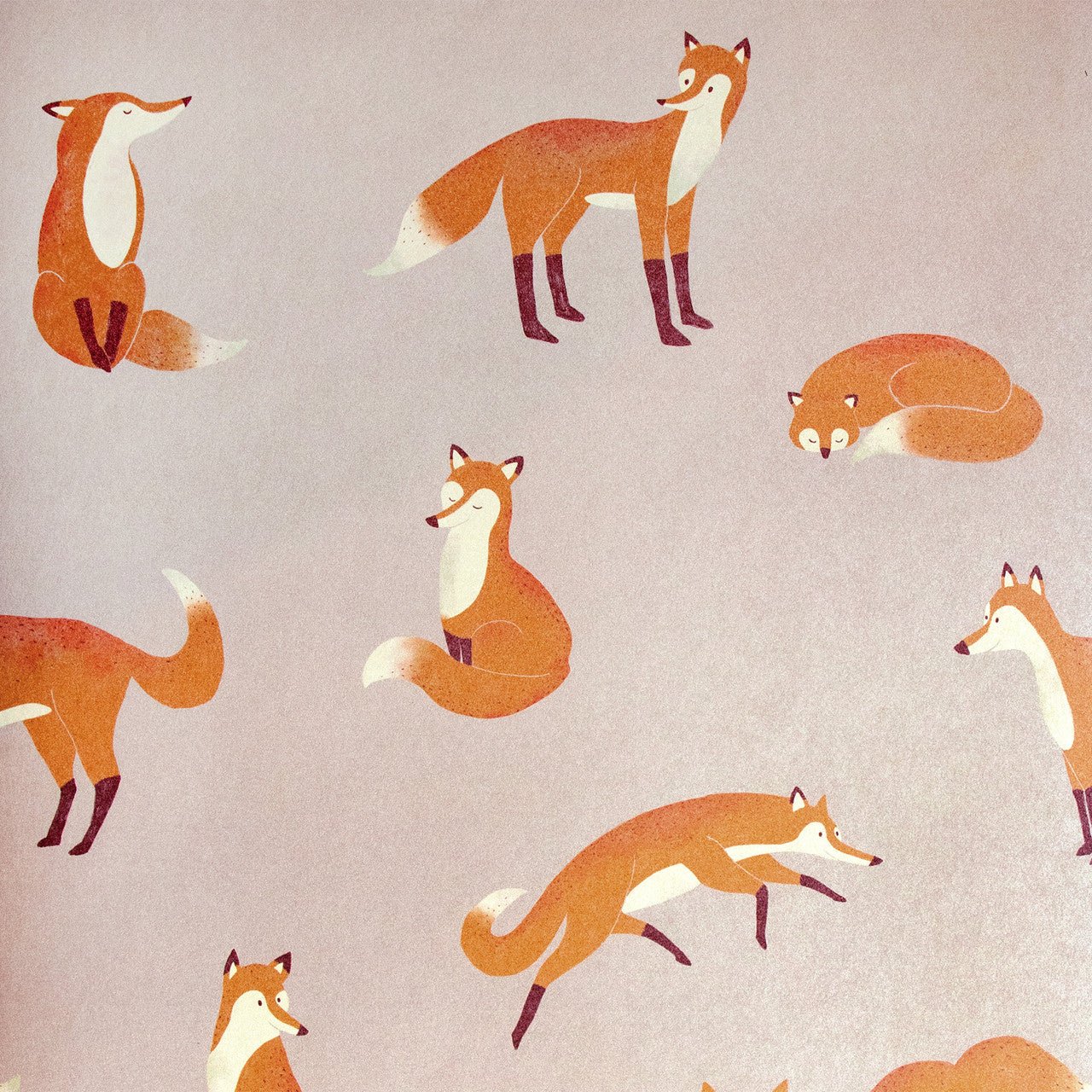 Friendly Foxes Great Kids Wallpaper - Rose - Hohenberger - 26840 - Premier Wallcovering