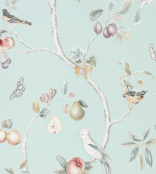 Fruit Aviary Wallpaper - Duck Egg/Multi - DART216312 - Sanderson - Premier Wallcovering