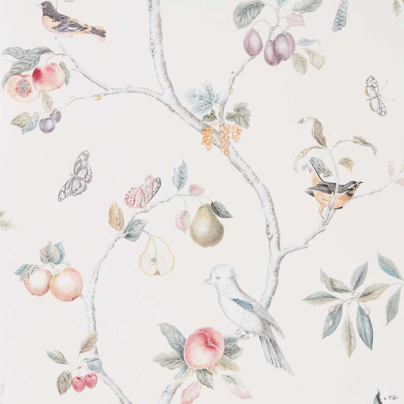 Fruit Aviary Wallpaper - Cream/Multi - Sanderson - DART216314 - Premier Wallcovering