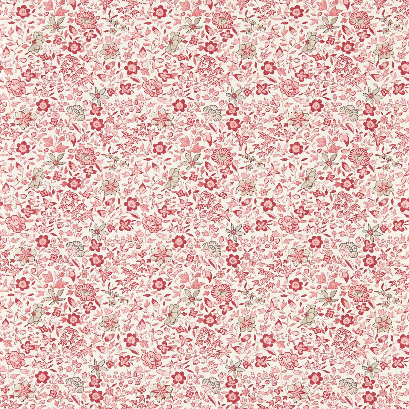 Gamthi Wallpaper - Blush - Clarke & Clarke - W0235/01 - Premier Wallcovering
