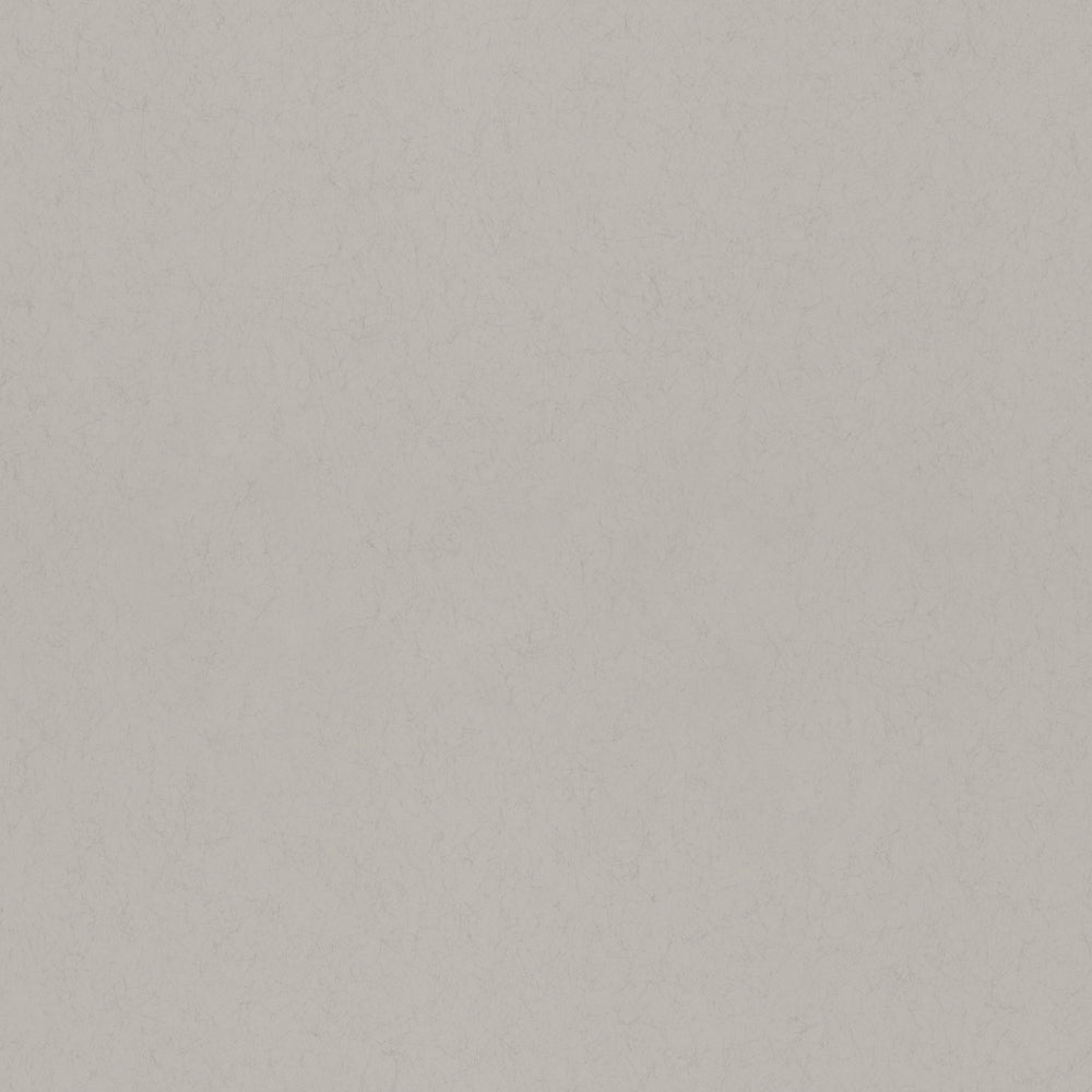 Gåsdun Wallpaper - Light Gray - Midbec - 77028 - Premier Wallcovering