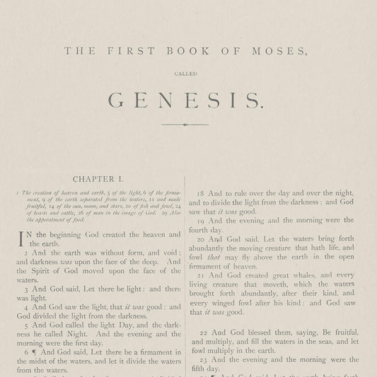 Genesis Wallpaper - Grey - Andrew Martin - SCHGE - Premier Wallcovering