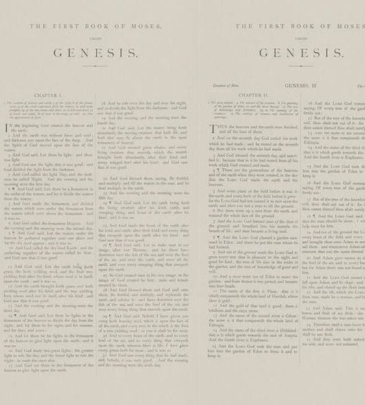 Genesis Wallpaper - Grey - Andrew Martin - SCHGE - Premier Wallcovering