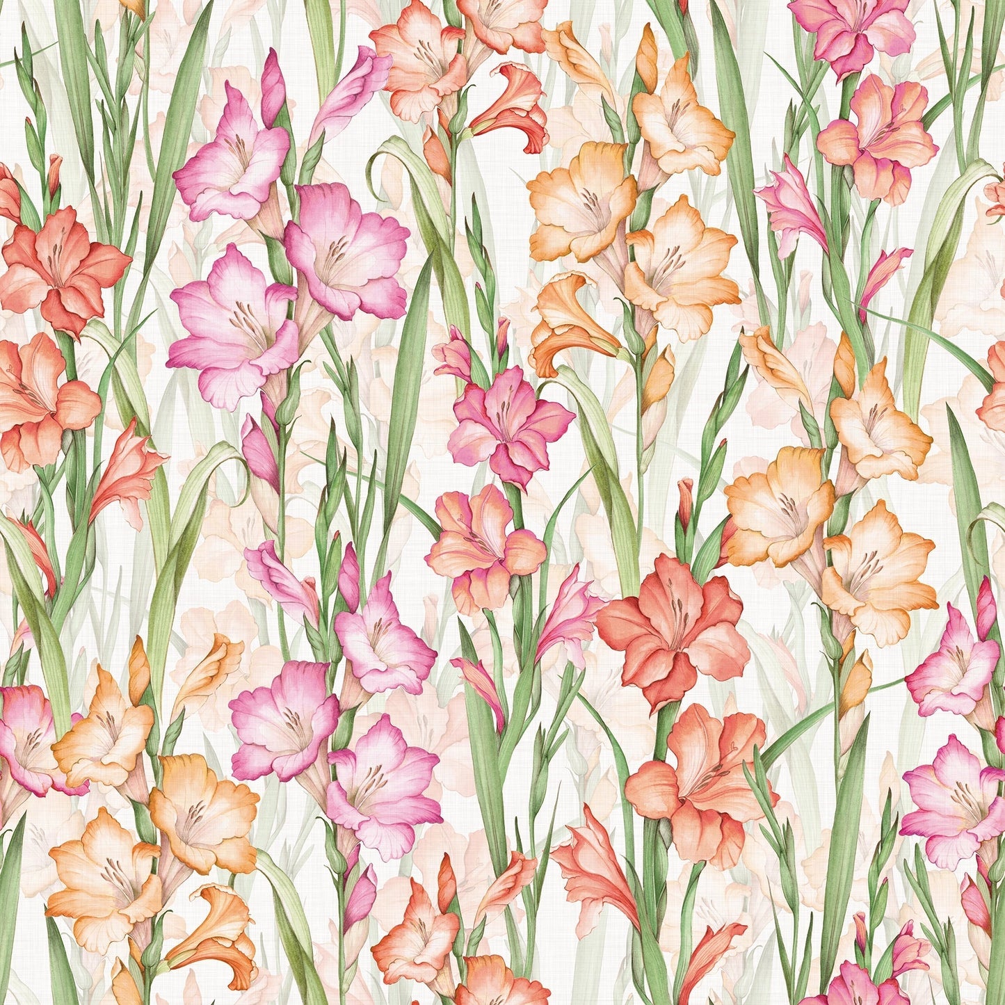 Gladioli Wallpaper - Summer Pinks and Oranges - Lucie Annabel - LAN100450 - Premier Wallcovering