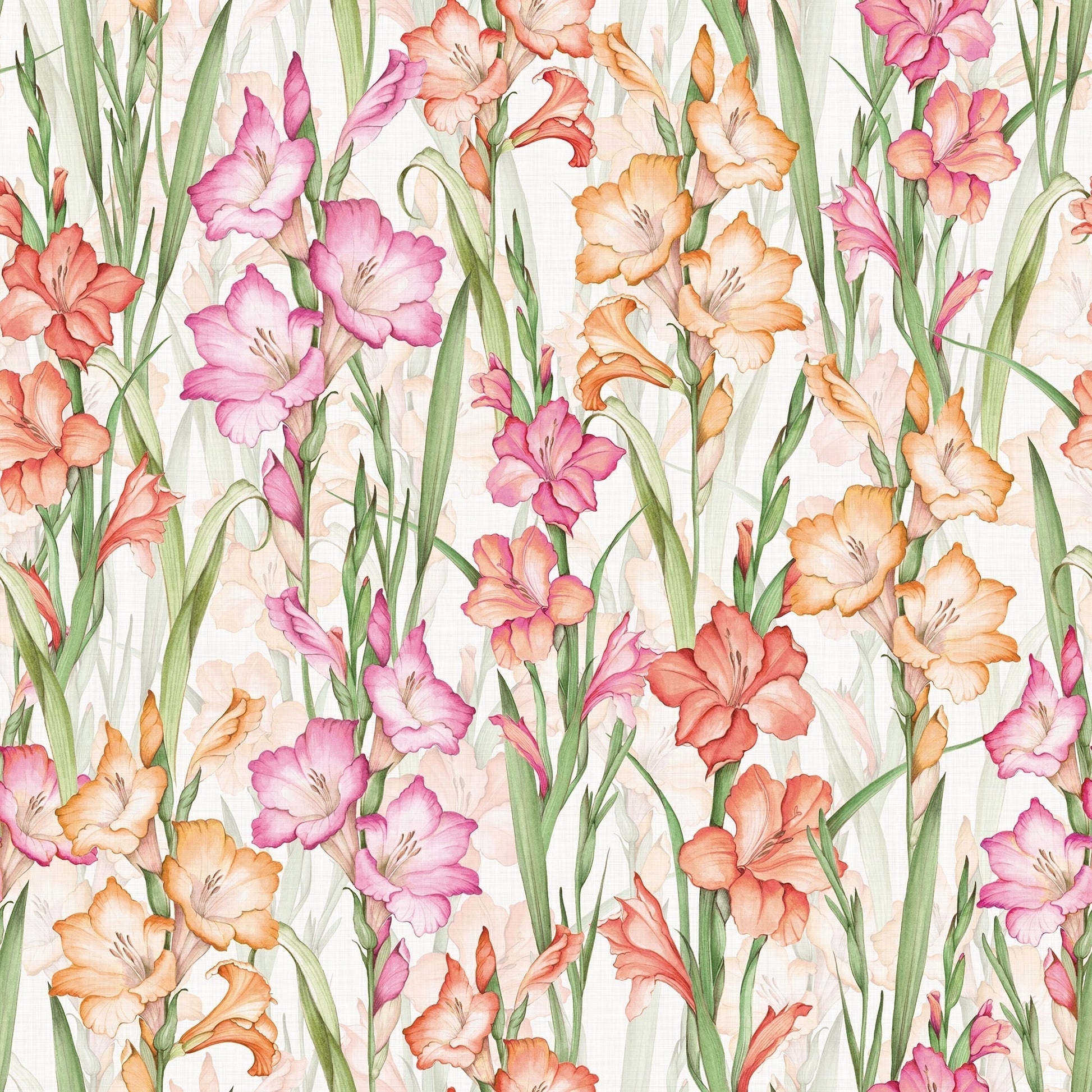Gladioli Wallpaper - Summer Pinks and Oranges - Lucie Annabel - LAN100450 - Premier Wallcovering