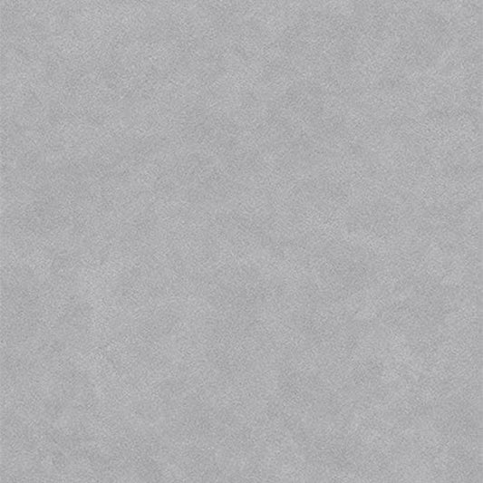 Glamour Wallpaper - Silver - Rasch - 404913 - Premier Wallcovering