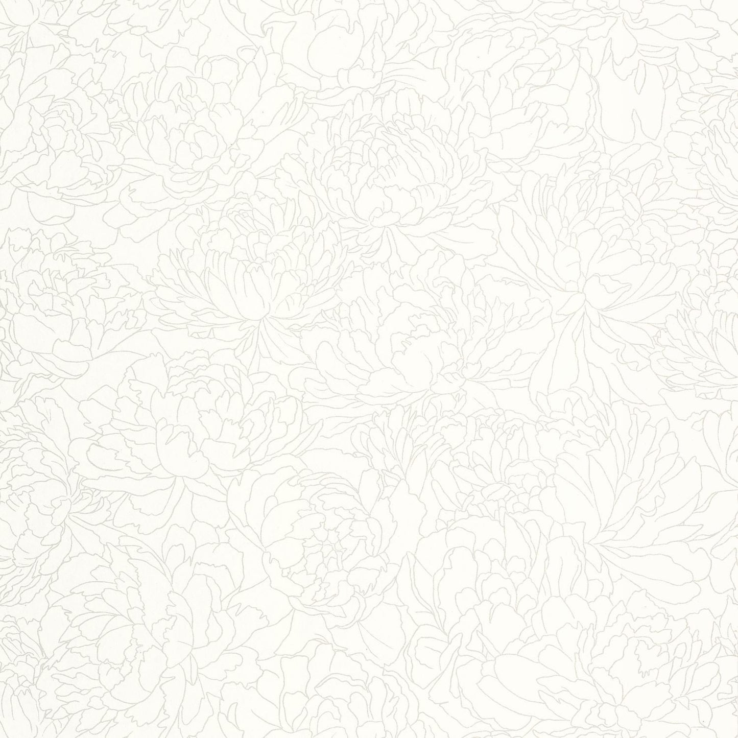 Glow Wallpaper - Blanc Irise - Caselio - 106610017 - Premier Wallcovering