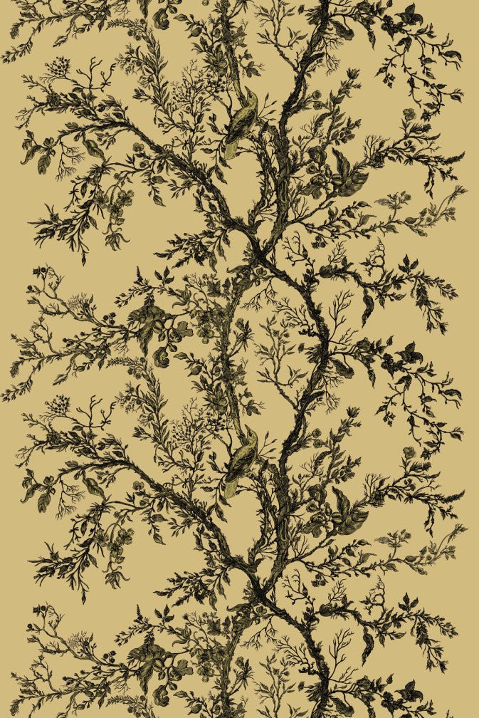 Golden Oriole Velvet Fabric - Black & Gold on Gold - Timorous Beasties - GOR/40898/01 - Premier Wallcovering