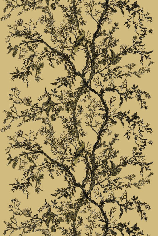 Golden Oriole Velvet Fabric - Black & Gold on Gold - Timorous Beasties - GOR/40898/01 - Premier Wallcovering