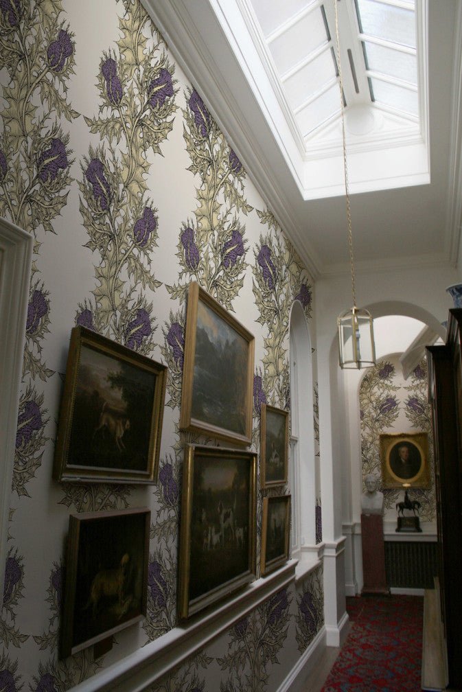 Grand Thistle Wallpaper - Gold & Purple on Cream - Timorous Beasties - EX/GRN/4004/WNW - Premier Wallcovering