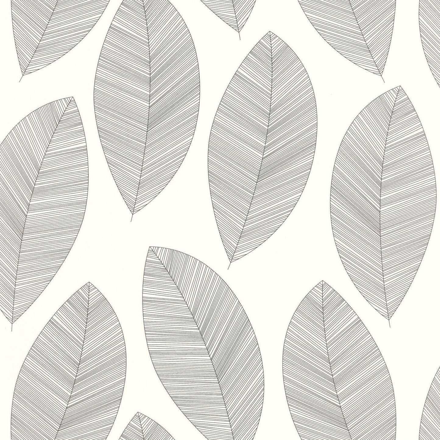 Graphic Leaves Wallpaper - Blanc Noir - Caselio - 104310927 - Premier Wallcovering