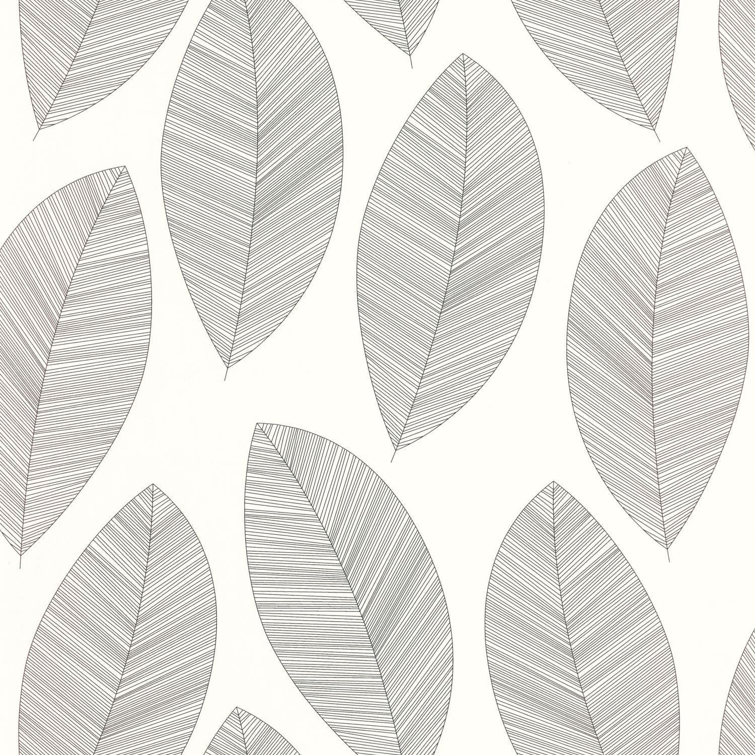 Graphic Leaves Wallpaper - Blanc Noir - Caselio - 104310927 - Premier Wallcovering