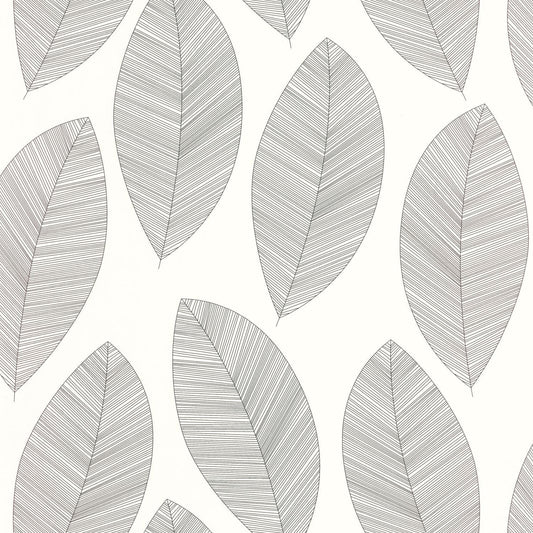 Graphic Leaves Wallpaper - Blanc Noir - Caselio - 104310927 - Premier Wallcovering