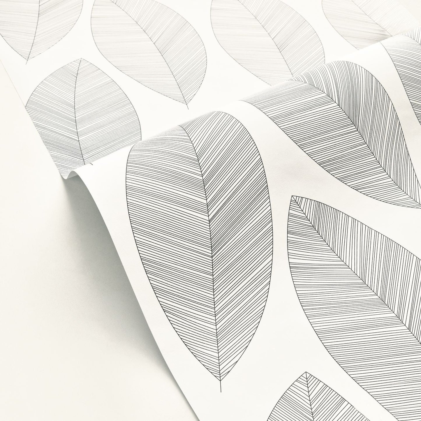 Graphic Leaves Wallpaper - Blanc Noir - Caselio - 104310927 - Premier Wallcovering