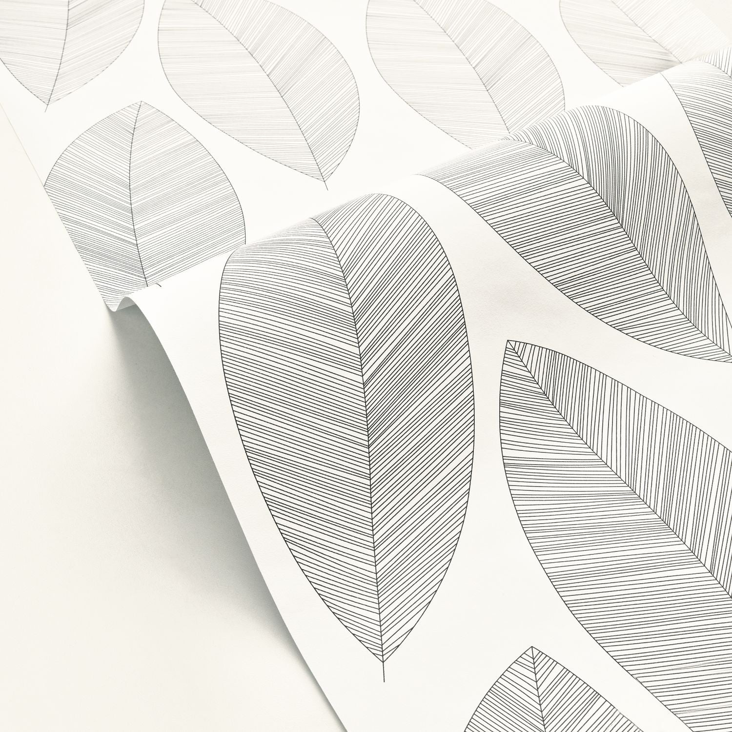 Graphic Leaves Wallpaper - Blanc Noir - Caselio - 104310927 - Premier Wallcovering