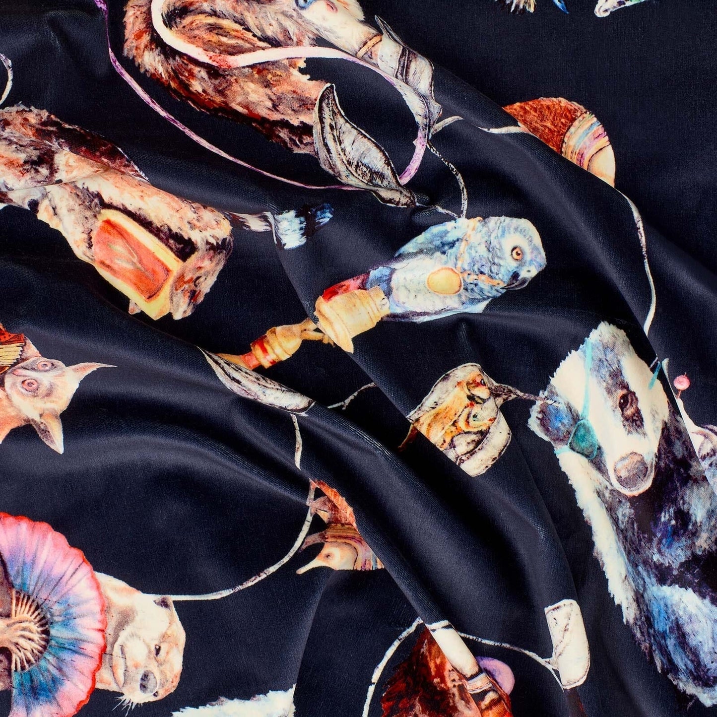 Hackney Empire Velvet Fabric -  Midnight - House of Hackney - 1-FA-HAC-VE-MID-XXX-100 - Premier Wallcovering