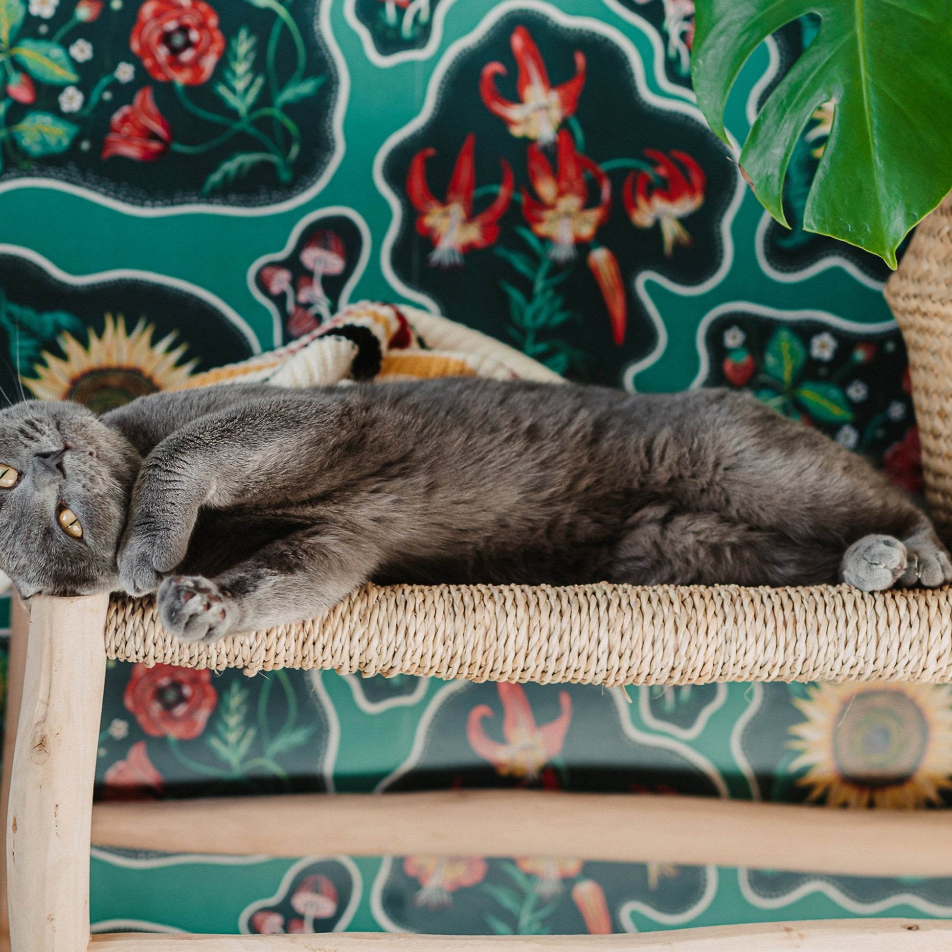 Halcyon Wallpaper - Emerald-Green - Wear The Walls - HAEG894152 - Premier Wallcovering