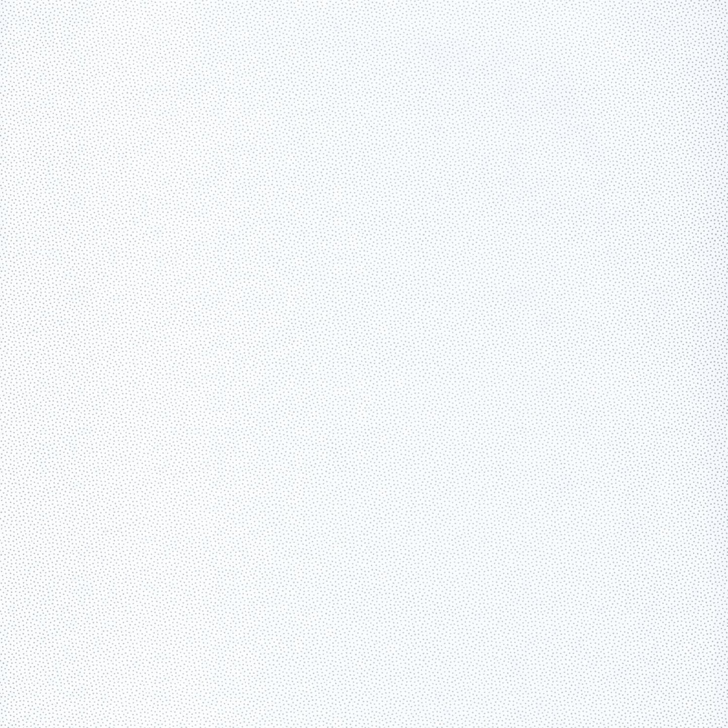 Hanami Goma Wallpaper - Blanc/ Argent - Caselio - 100400101 - Premier Wallcovering