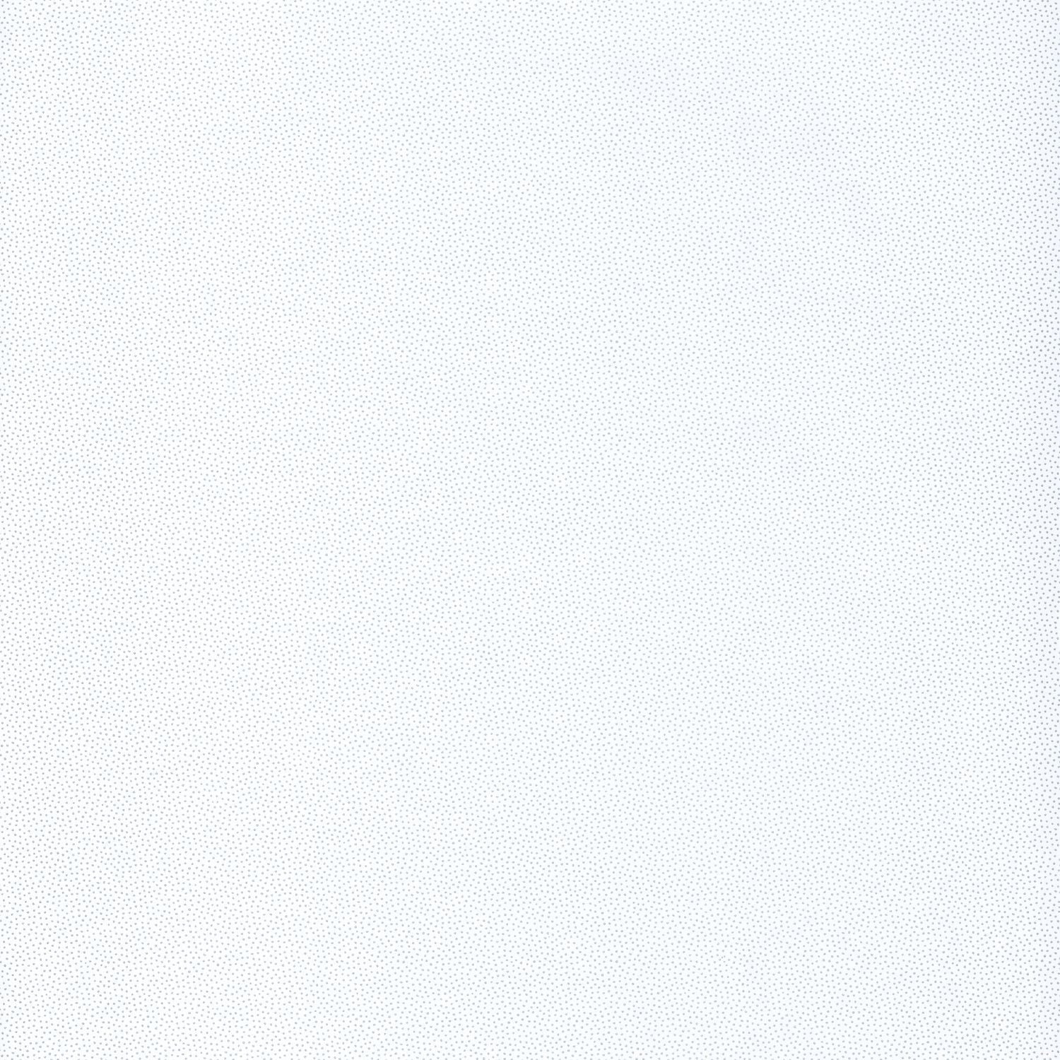 Hanami Goma Wallpaper - Blanc/ Argent - Caselio - 100400101 - Premier Wallcovering