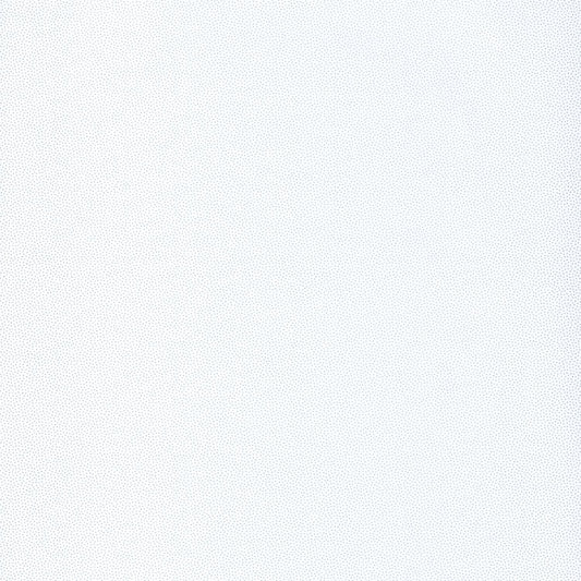 Hanami Goma Wallpaper - Blanc/ Argent - Caselio - 100400101 - Premier Wallcovering