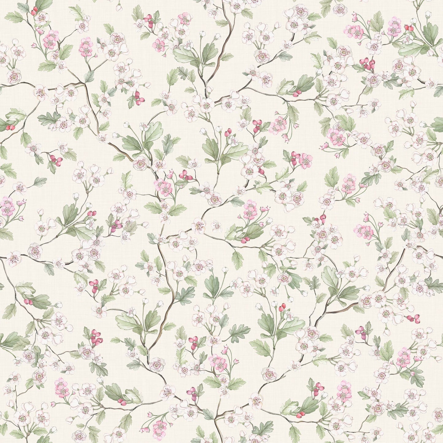 Hawthorn Blossom Wallpaper - Cream - Lucie Annabel - LAN100423 - Premier Wallcovering
