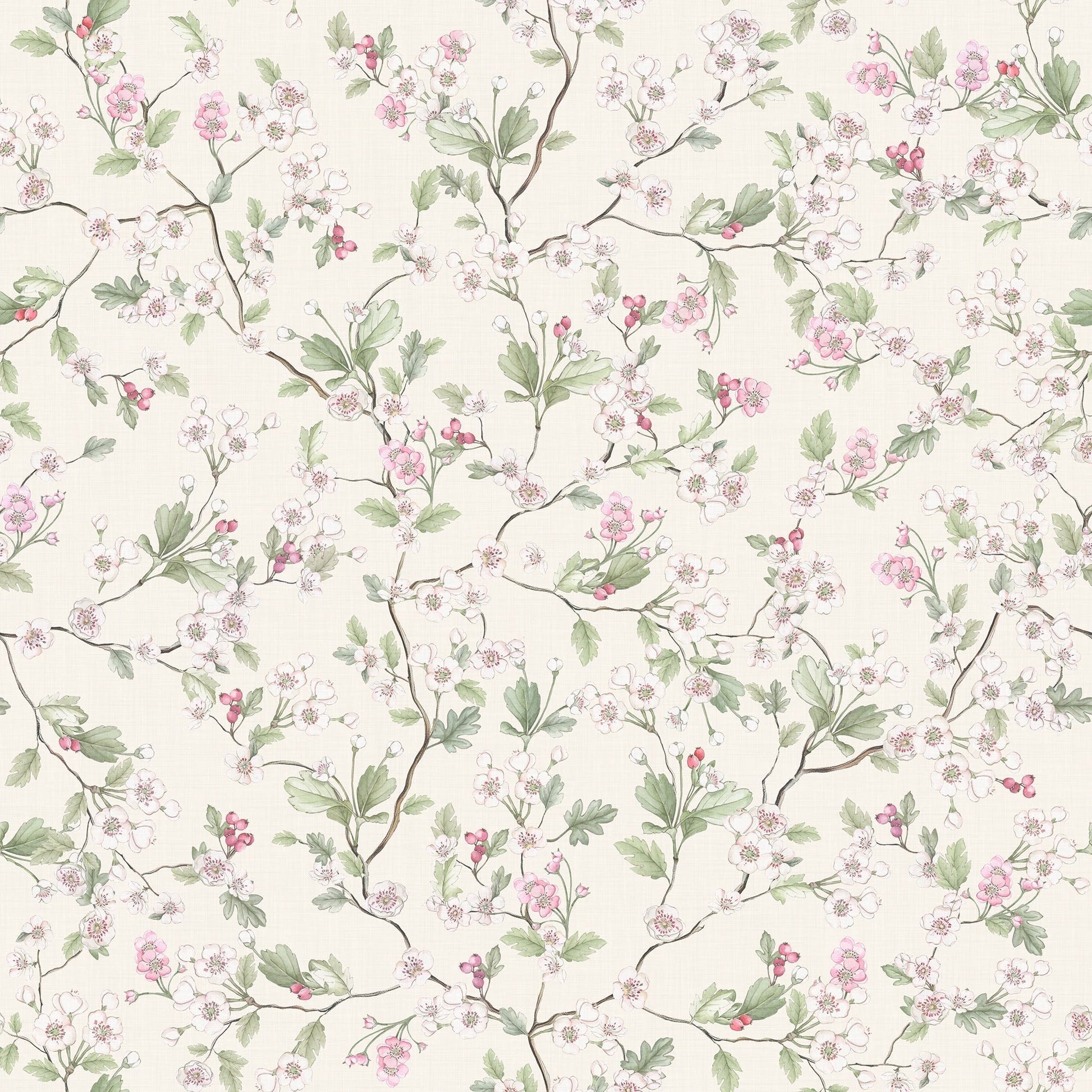 Hawthorn Blossom Wallpaper - Cream - Lucie Annabel - LAN100423 - Premier Wallcovering