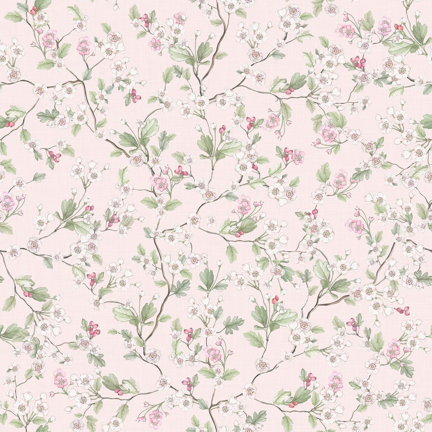 Hawthorn Blossom Wallpaper - Soft Pink - Lucie Annabel - LAN100426 - Premier Wallcovering