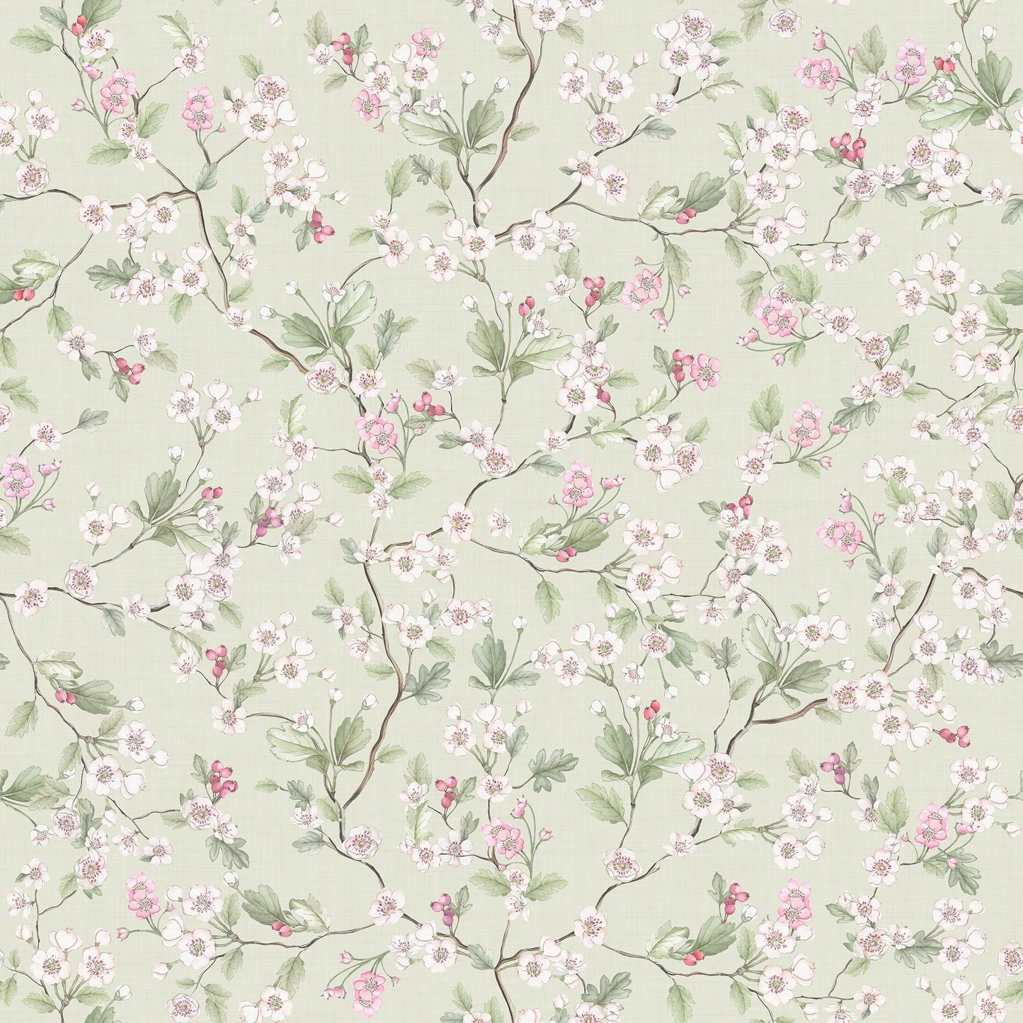 Hawthorn Blossom Wallpaper - Sage - Lucie Annabel - LAN100427 - Premier Wallcovering