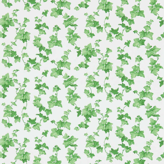 Hedera Wallpaper - Green - DVIN214593 - Sanderson - Premier Wallcovering