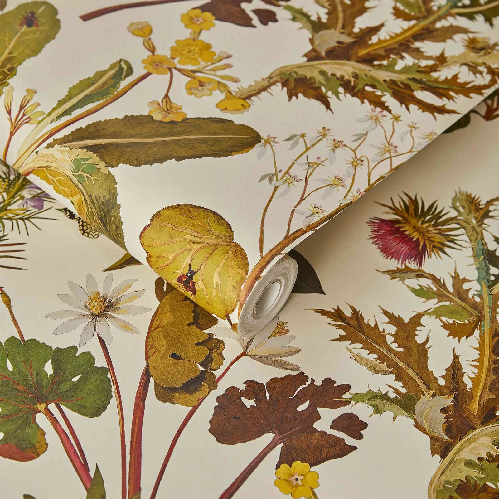 Herbarium Wallpaper - Ecru - House of Hackney - 1 - WA - HER - DI - ECR - XXX - Premier Wallcovering