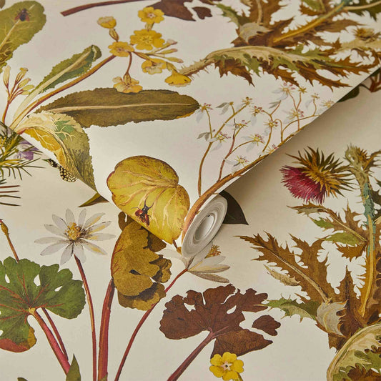 Herbarium Wallpaper - Ecru - House of Hackney - 1 - WA - HER - DI - ECR - XXX - Premier Wallcovering