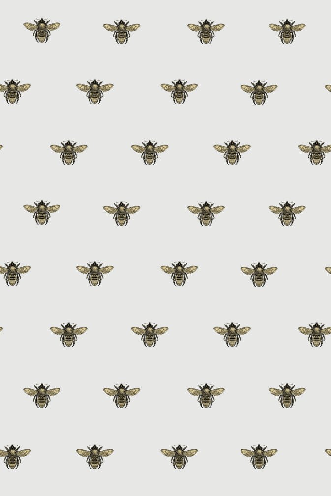 Honey Bee Wallpaper - Black & Gold on Powder Grey - Timorous Beasties - TB/HYB/6005/01 - Premier Wallcovering