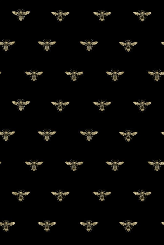 Honey Bee Wallpaper - Black & Gold on Swift Black - Timorous Beasties - TB/HYB/6008/04 - Premier Wallcovering